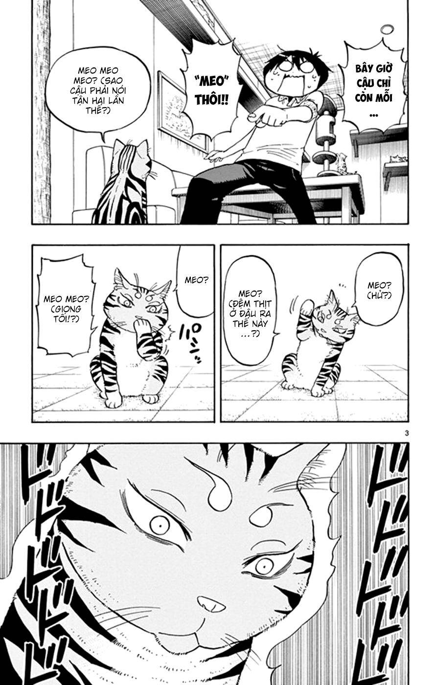 Saike Mata Shite Mo Chapter 17: Vương quốc mèo 2 - Trang 2