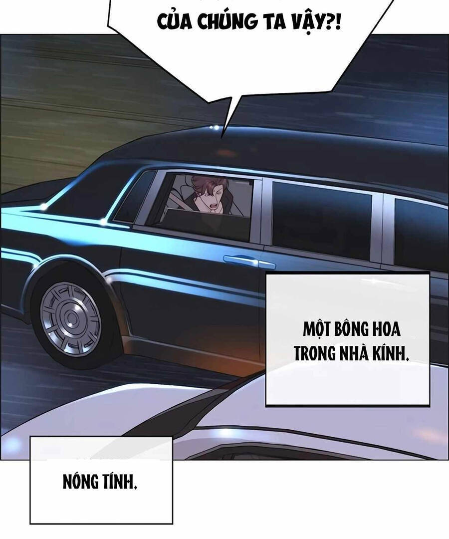 Người Đàn Ông Thực Thụ