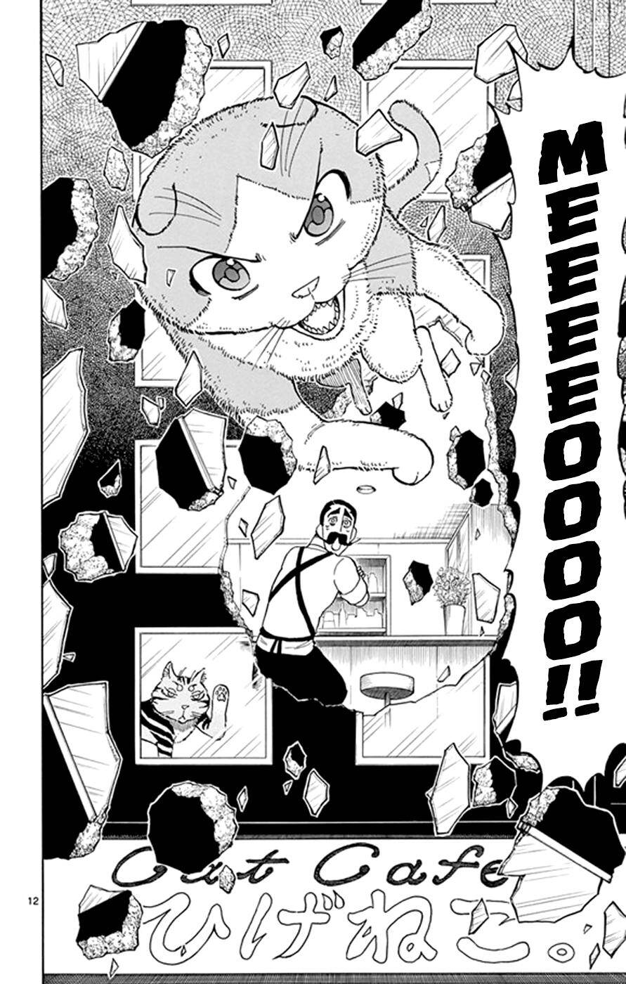 Saike Mata Shite Mo Chapter 18: Vương quốc mèo 3 - Trang 2
