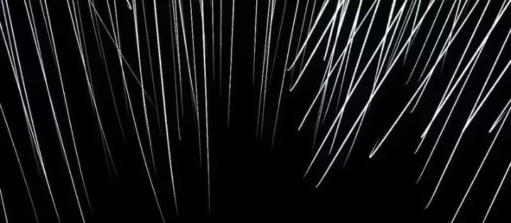 Mạt Nhật Thiên Hạ: Ta, Virus Quân Vương - Chương 88 - Trang 70