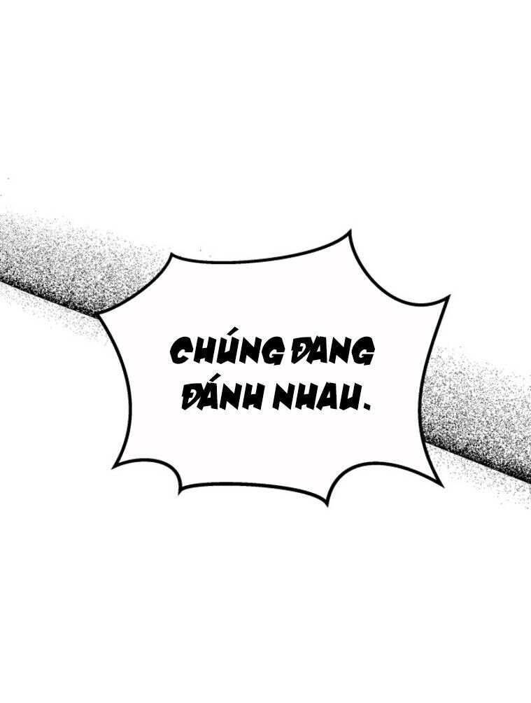 Chị Em Nhà Ki Chapter 12 - Trang 4